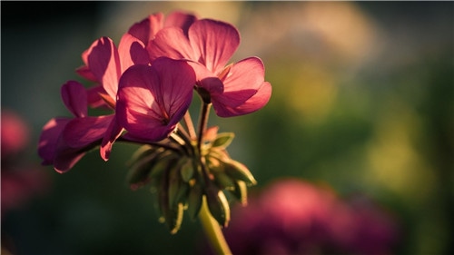 1588921226271598.jpg 3d54b82f4ae2d15dffaedc324d9d5bcc.jpg