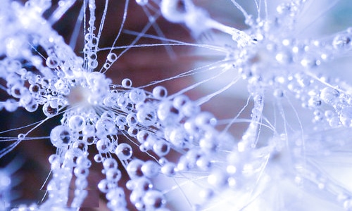 形容天气冷的说说文案一句话 形容天气冷的说说文案一句话