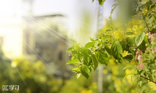 2021最后一天的感谢语以及心情说说 2021最后一天的感谢语以及心情说说